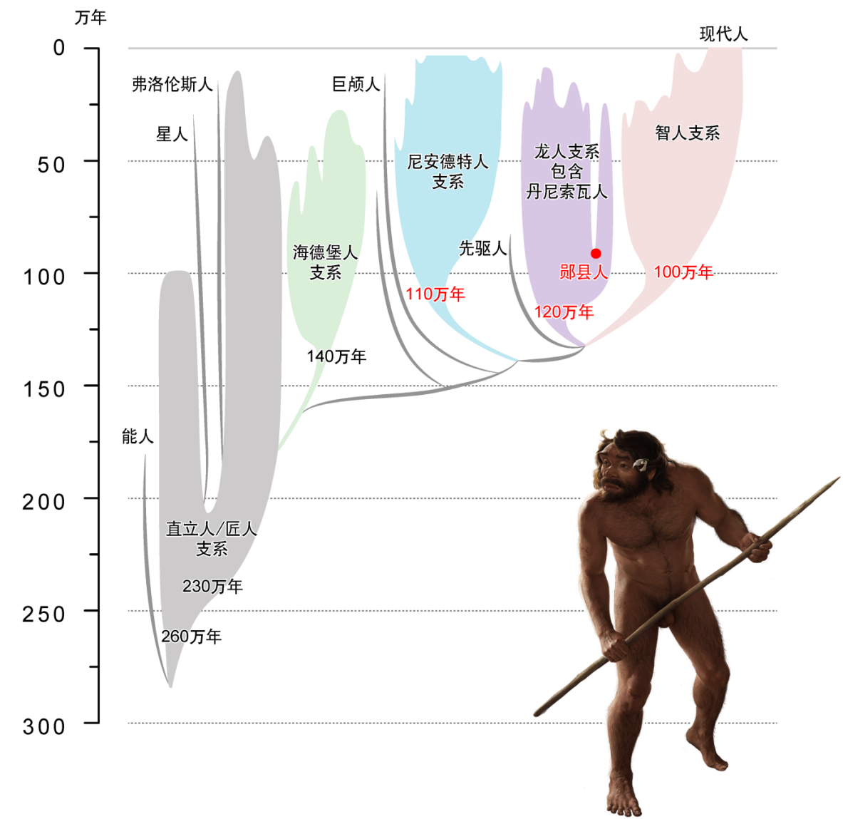 family_tree_C_credit_Xijun_Ni&Jiannan_Bai