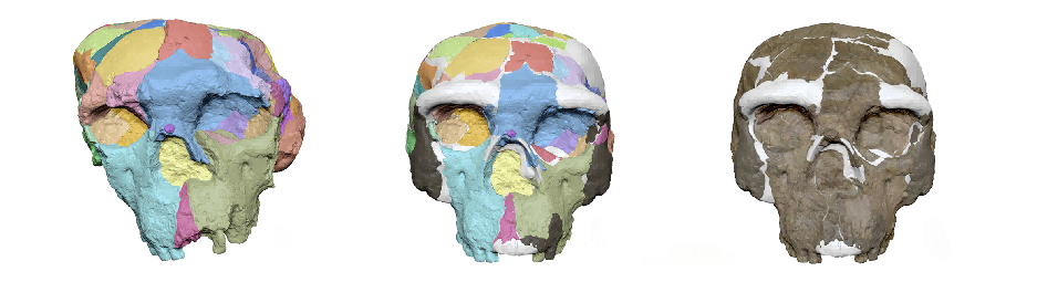 Reconstruction_process_Credit_Xijun_Ni