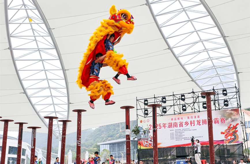 精彩的舞狮表演。陈卫平摄