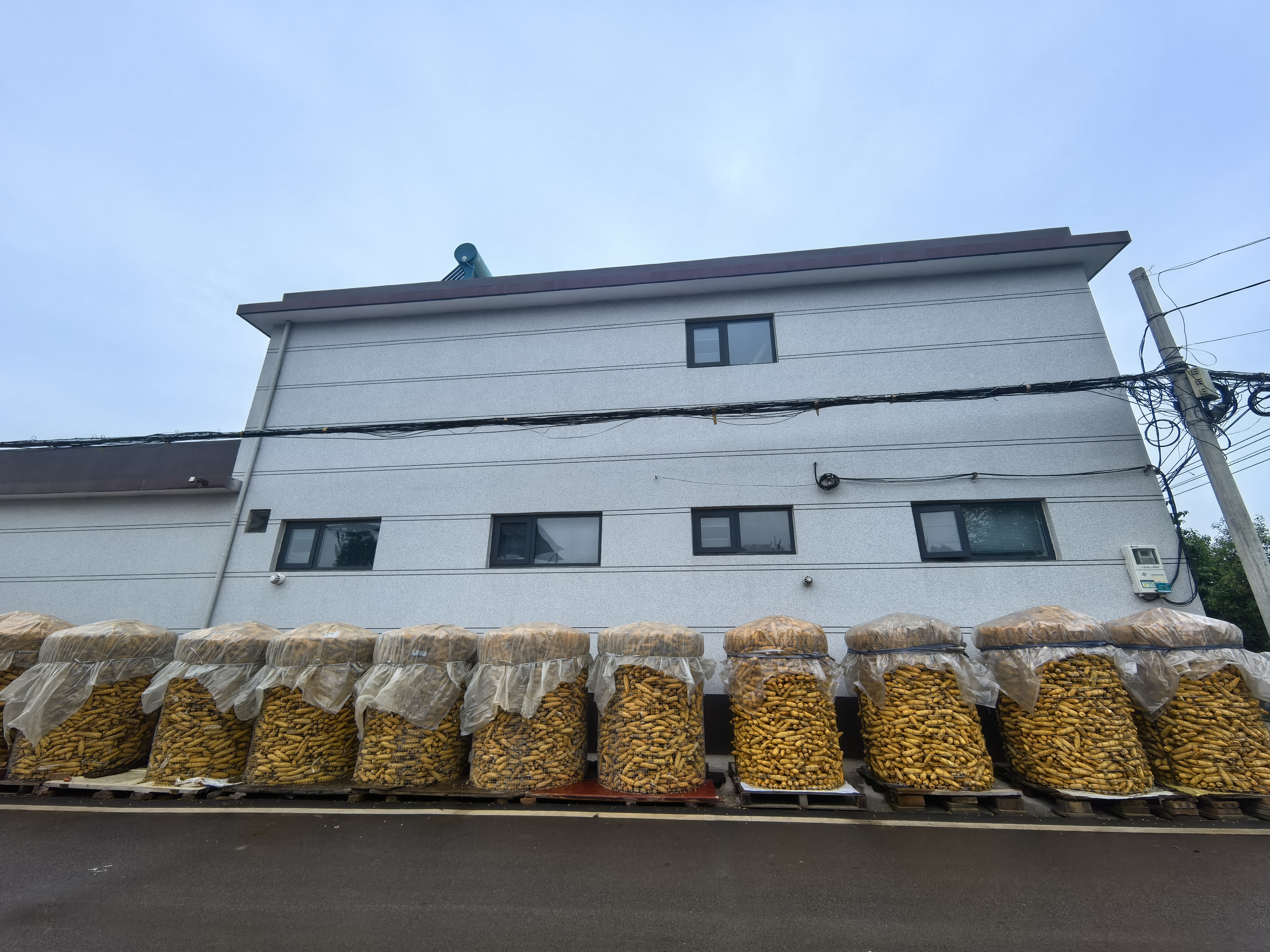 河南“爛秋雨”還沒停，秋收情況如何？有哪些解決辦法？記者實地走訪——