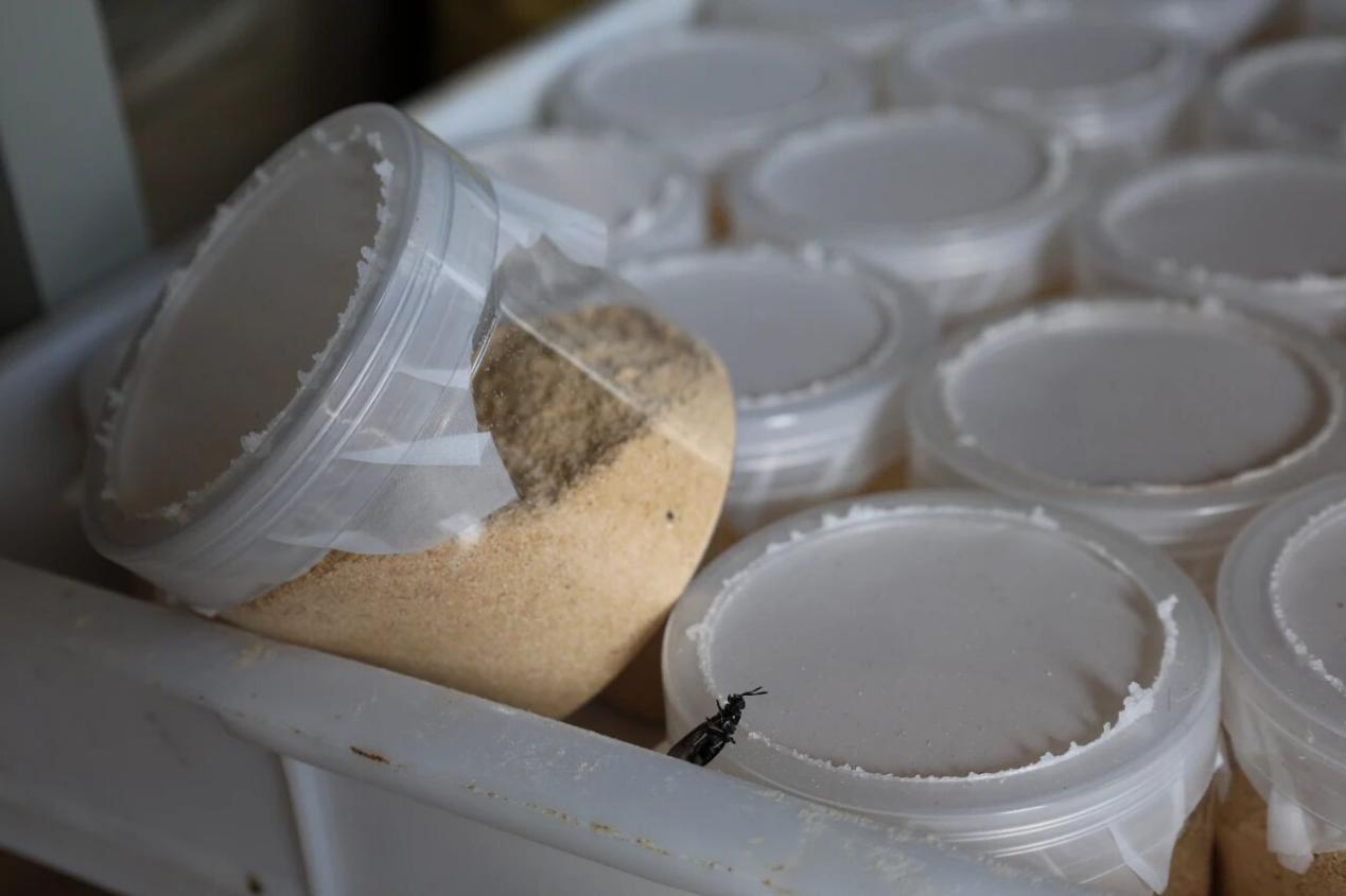 微信图片_2025-10-30_233544_808