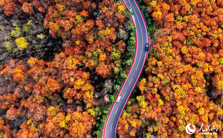 一条农村路：富了民、美了村、活了产业