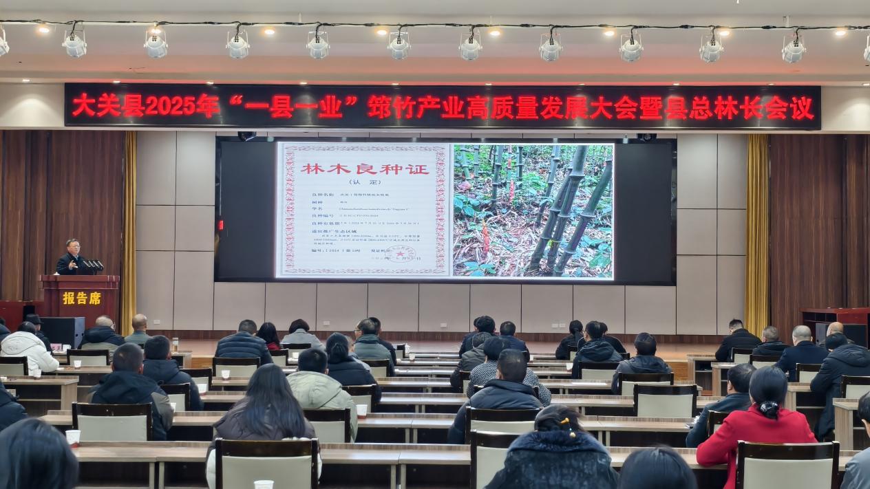 董文渊教授发布筇竹良种（杨全伟拍摄于2025年12月4日）