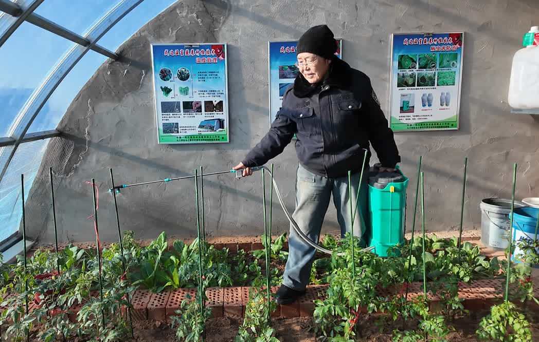 历史性突破！内蒙古乌兰察布市四子王旗321户戍边牧民首次实现蔬菜四季自给