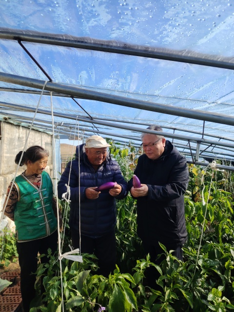 历史性突破！内蒙古乌兰察布市四子王旗321户戍边牧民首次实现蔬菜四季自给