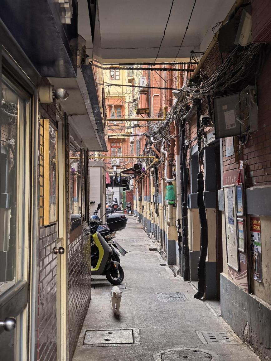 程金鑫居住的贵州路地块弄堂内景象。巨云鹏摄