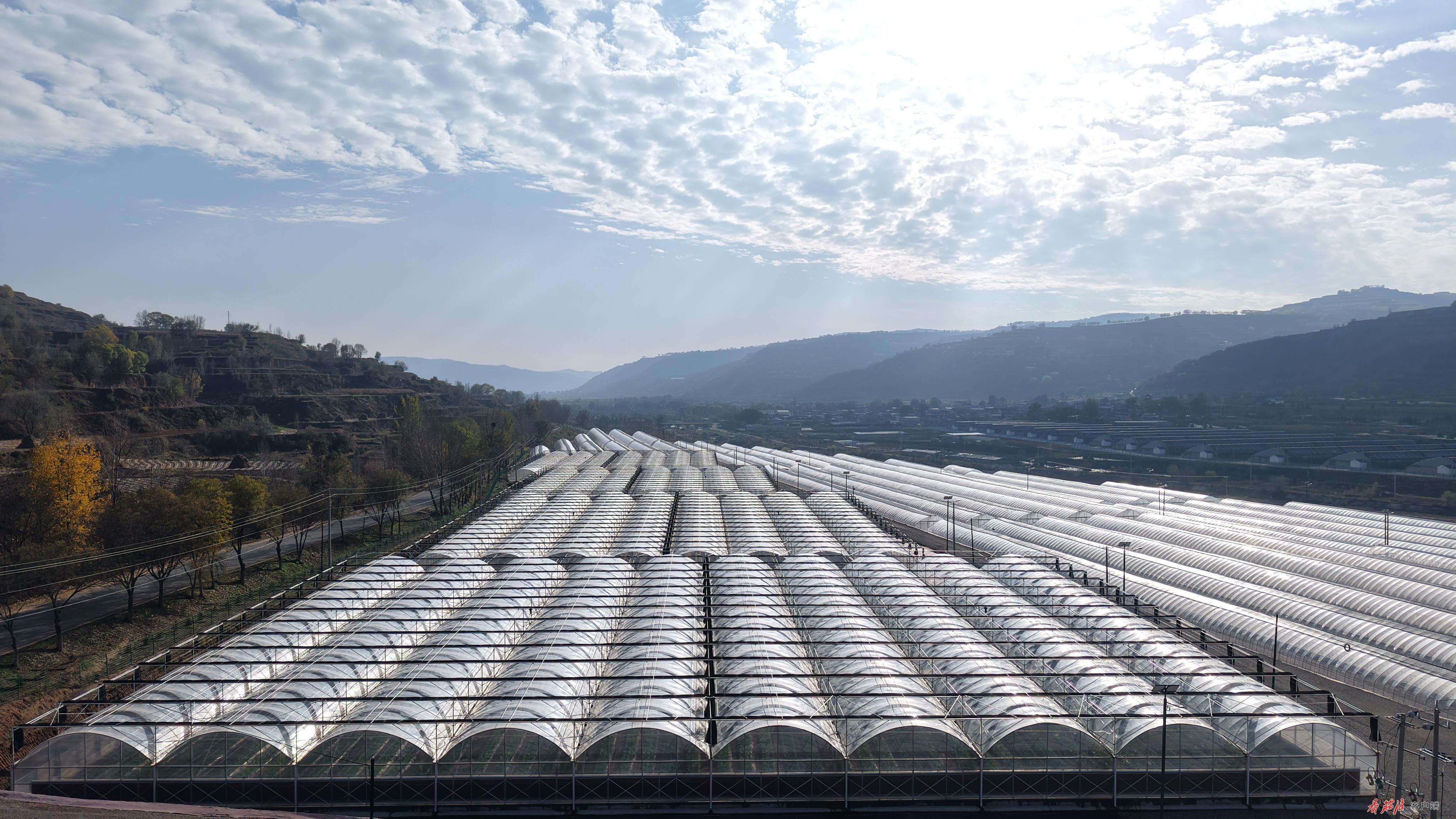 庄浪县良邑镇现代智慧农业产业园