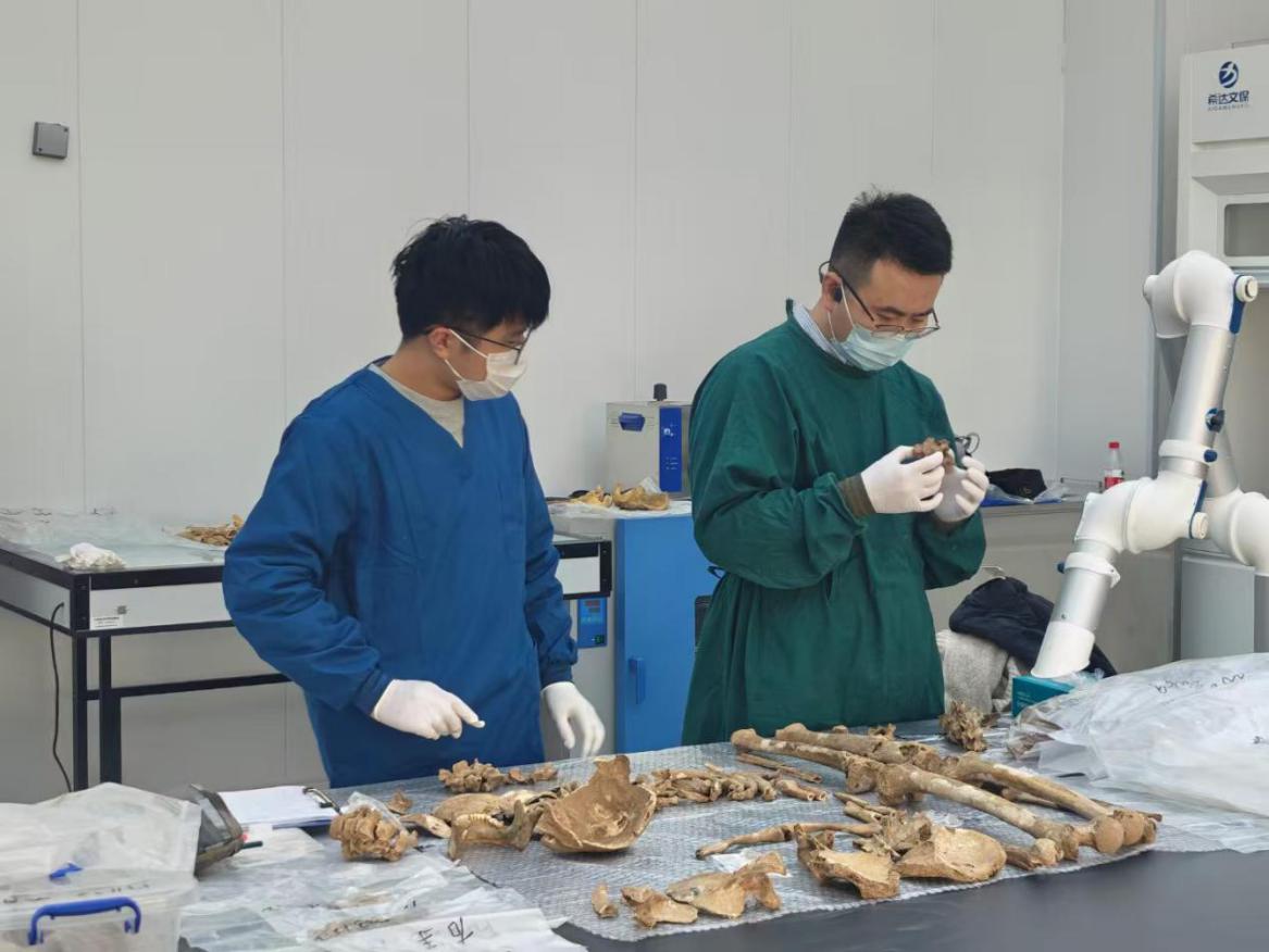 中国两项研究入选世界考古论坛重要考古研究成果展示