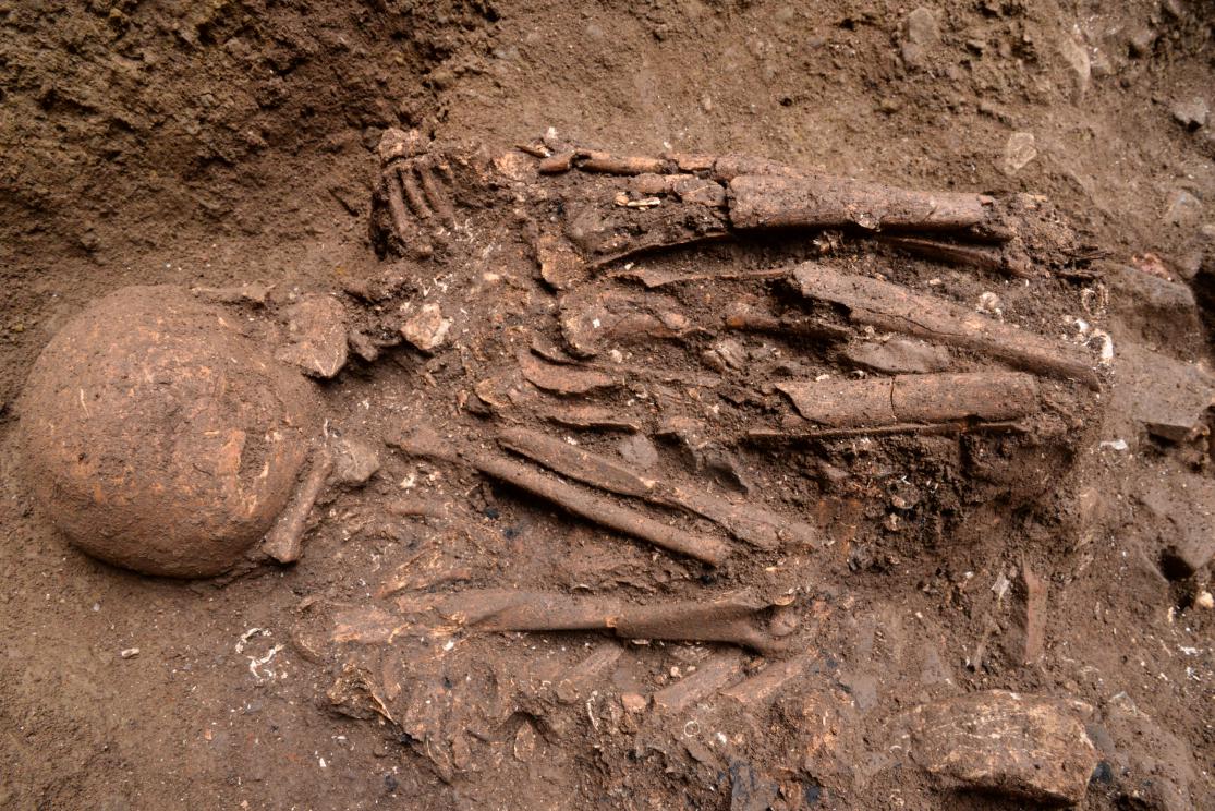 中国两项研究入选世界考古论坛重要考古研究成果展示