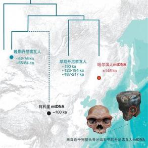 中国两项研究入选世界考古论坛重要考古研究成果展示