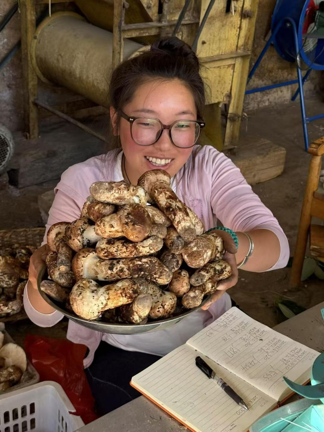 微信图片_20251117124833_186_2