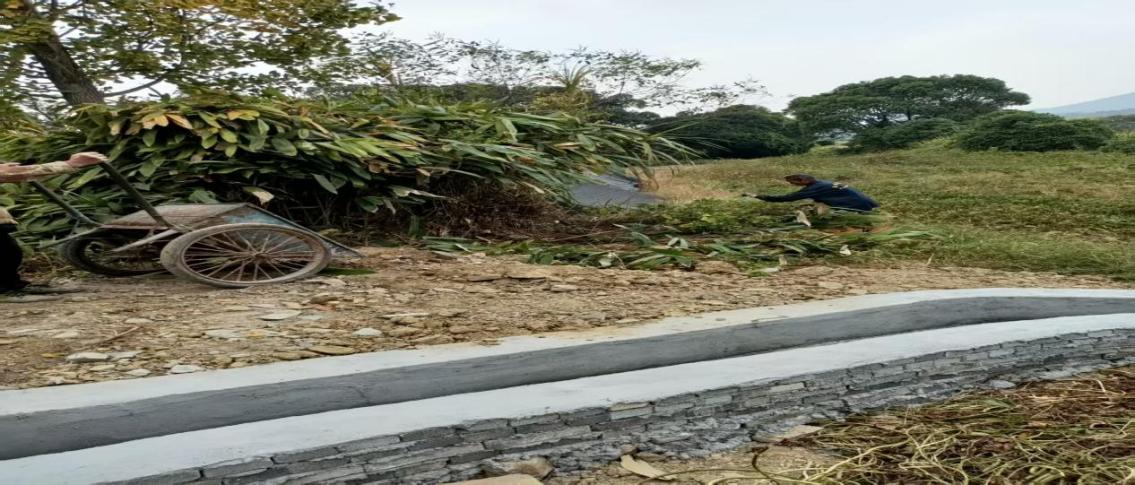 0786e186db423043545c574ce410bcf8