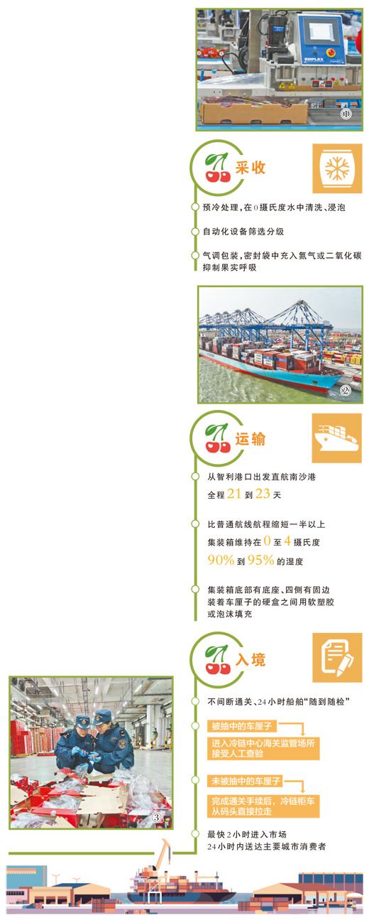 从智利果园→中国餐桌，车厘子保鲜靠什么“黑科技”？