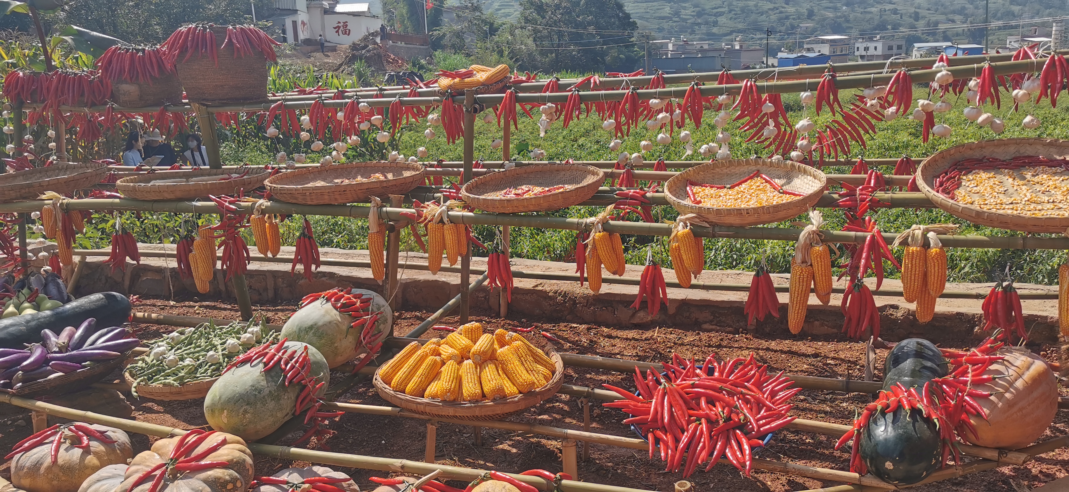 2024年9月14日,乐业镇党委政府在务嘎村举办乐业镇“辣椒丰收节”活动。摄影者:孙勇 (2)