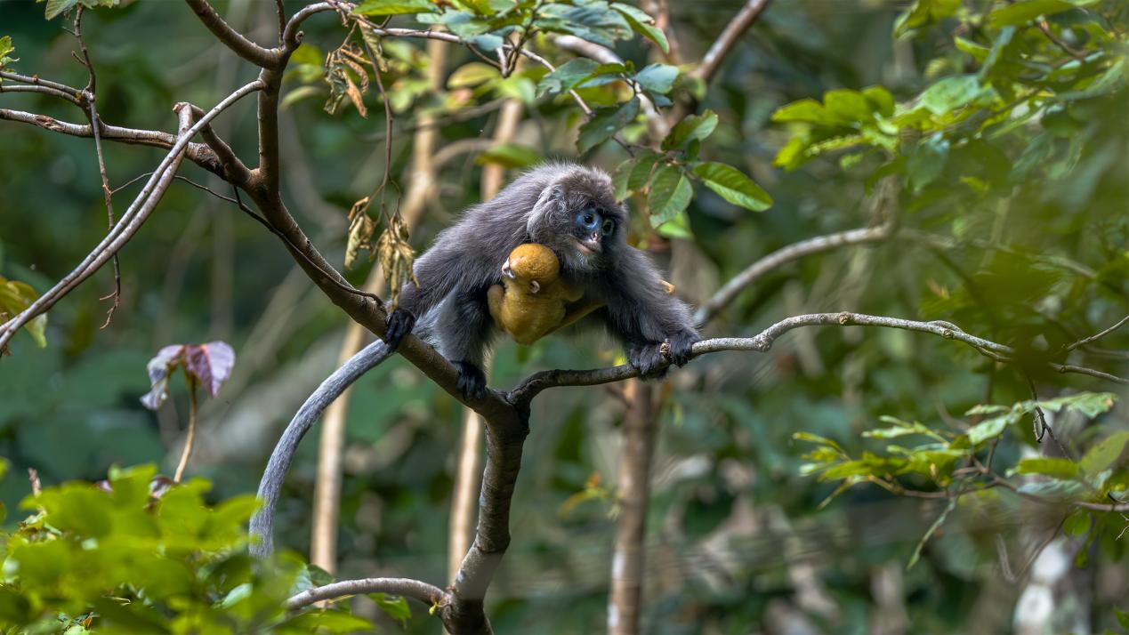 《妈妈的怀抱》朱边勇 摄 拷贝1