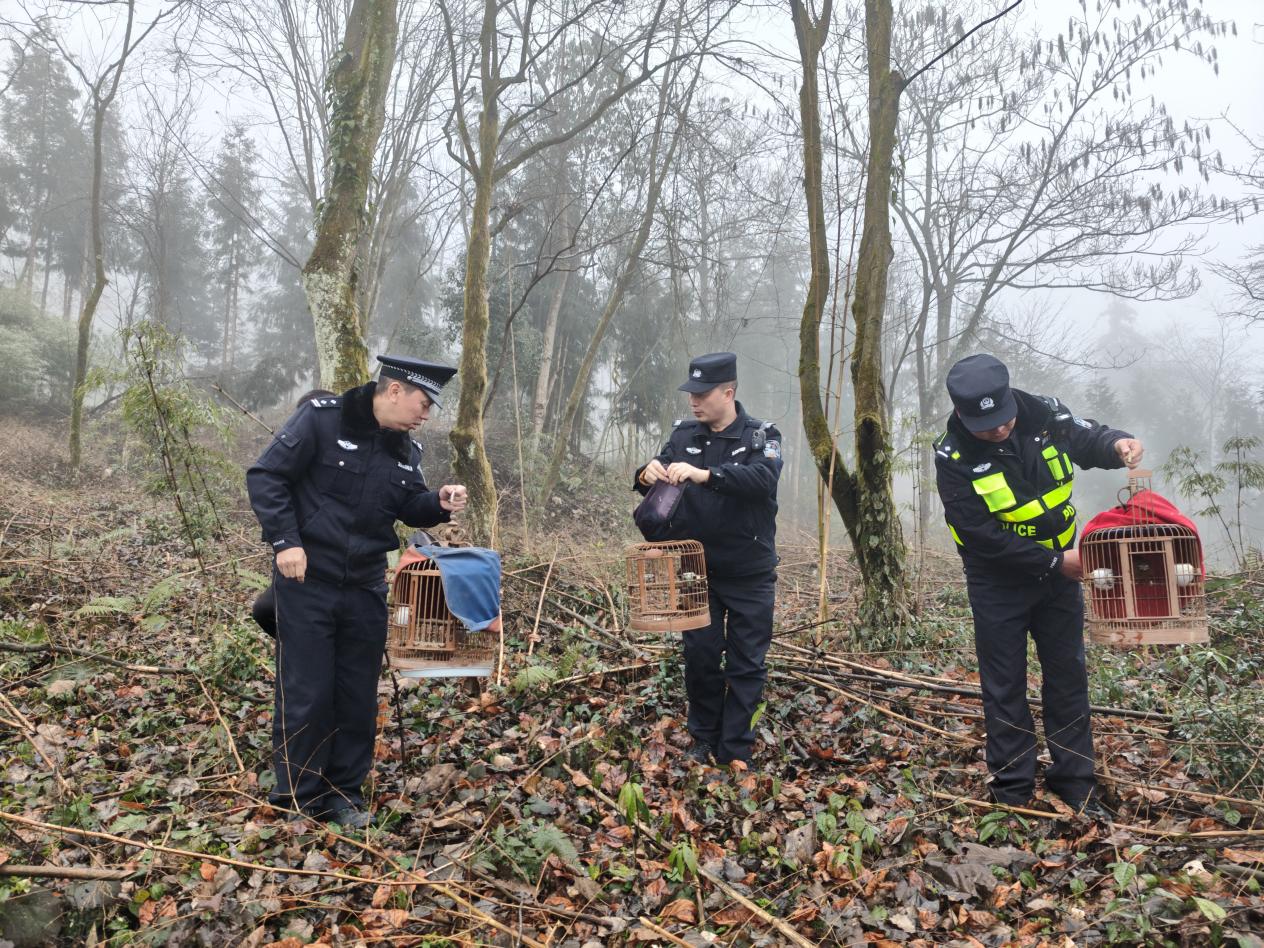 微信图片_20260127170831_297_240