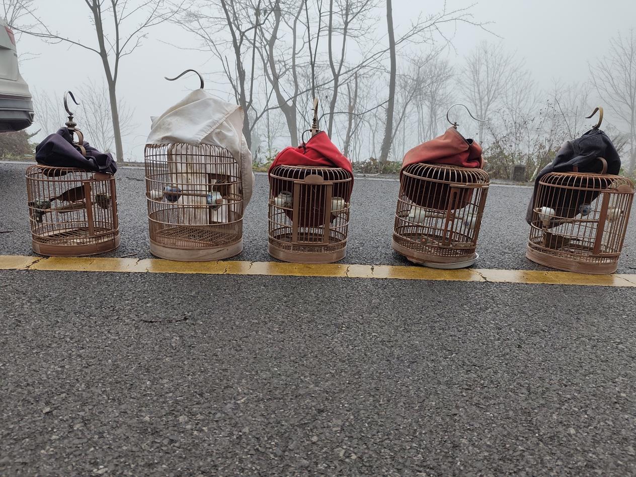 微信图片_20260127170834_299_240