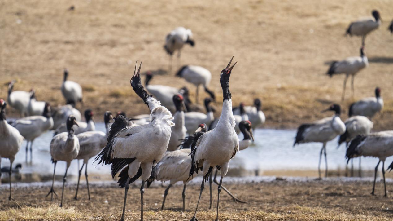 b8ed6ab76fc049696918adfeba04e026