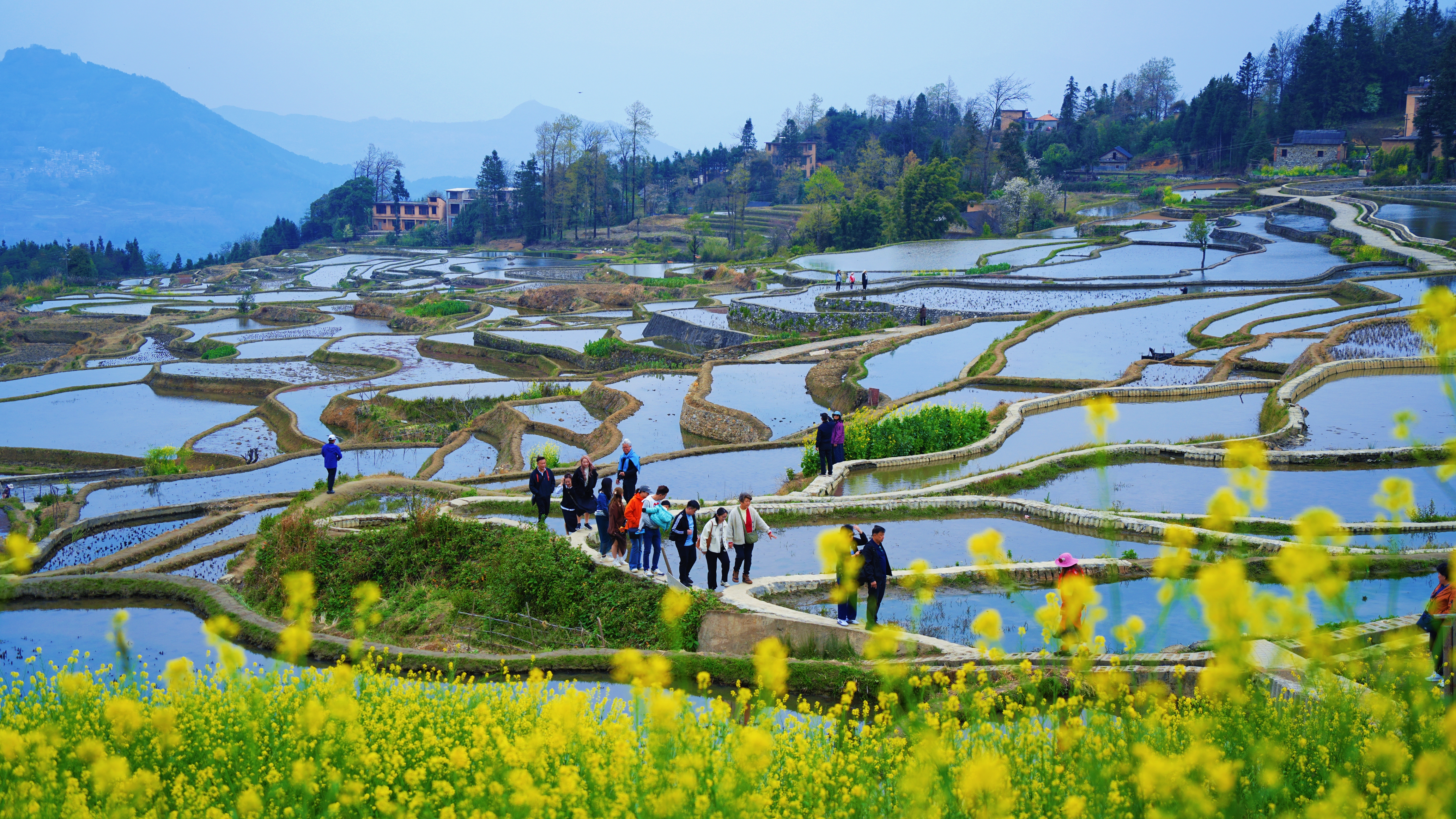 D:/陈敏（工作）/人民日报/客户端/3月/3.3/元阳梯田春暖花开，每一张都是壁纸/元阳梯田春暖花开，每一张都是壁纸/2.28爱春梯田油菜花   张艳 摄.jpg2.28爱春梯田油菜花   张艳 摄