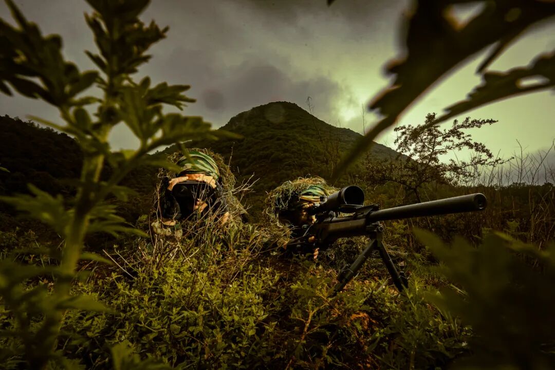 81f082b214d5893eaa33345eaaed69be