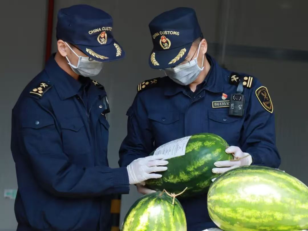 2025年12月11日,首批缅甸进口西瓜通过监管场地顺利进境 中共临沧市委宣传部供图