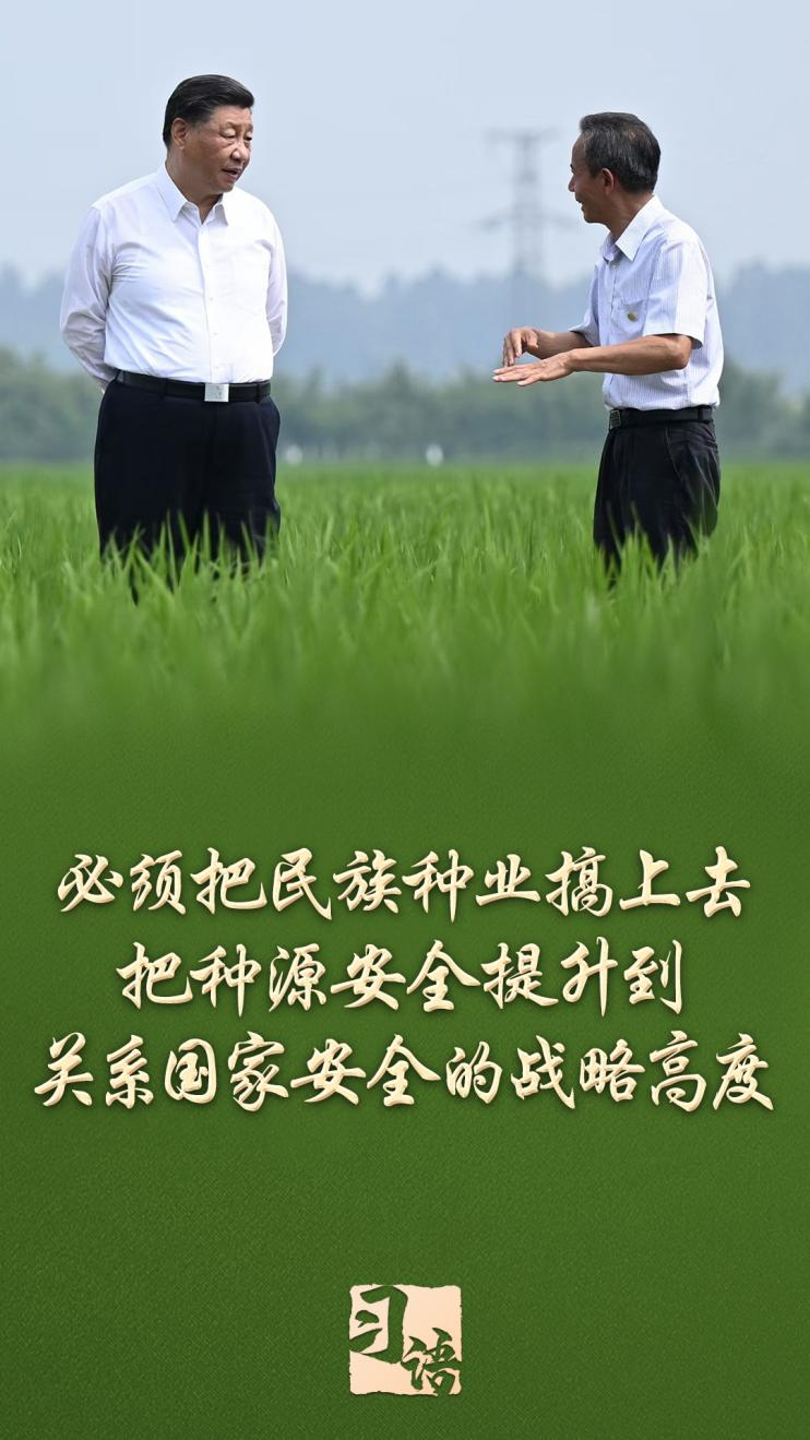 习语丨一粒小小的种子，何以让总书记如此牵挂？
