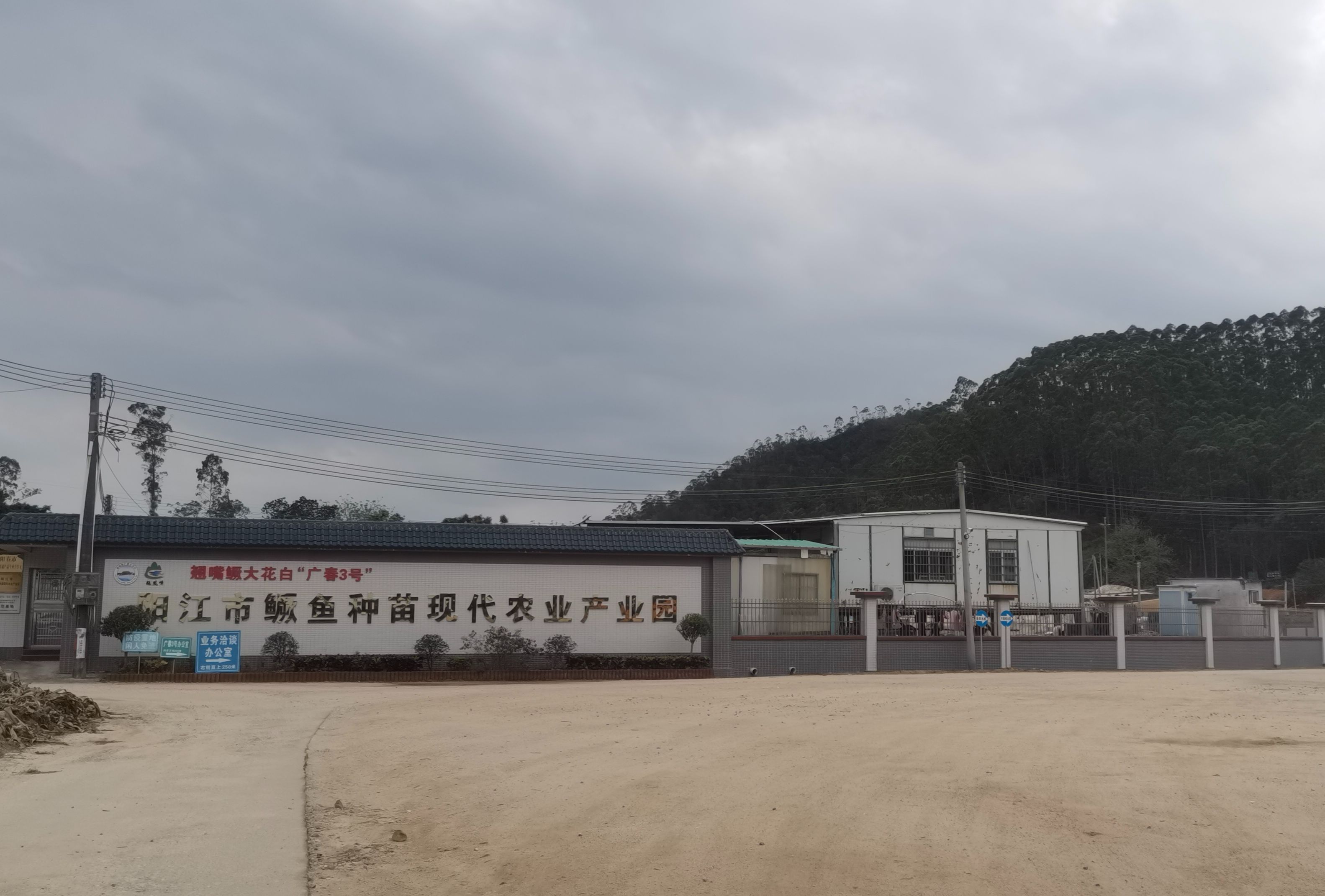 图为“广春3号”鳜鱼苗场外景。罗艾桦摄