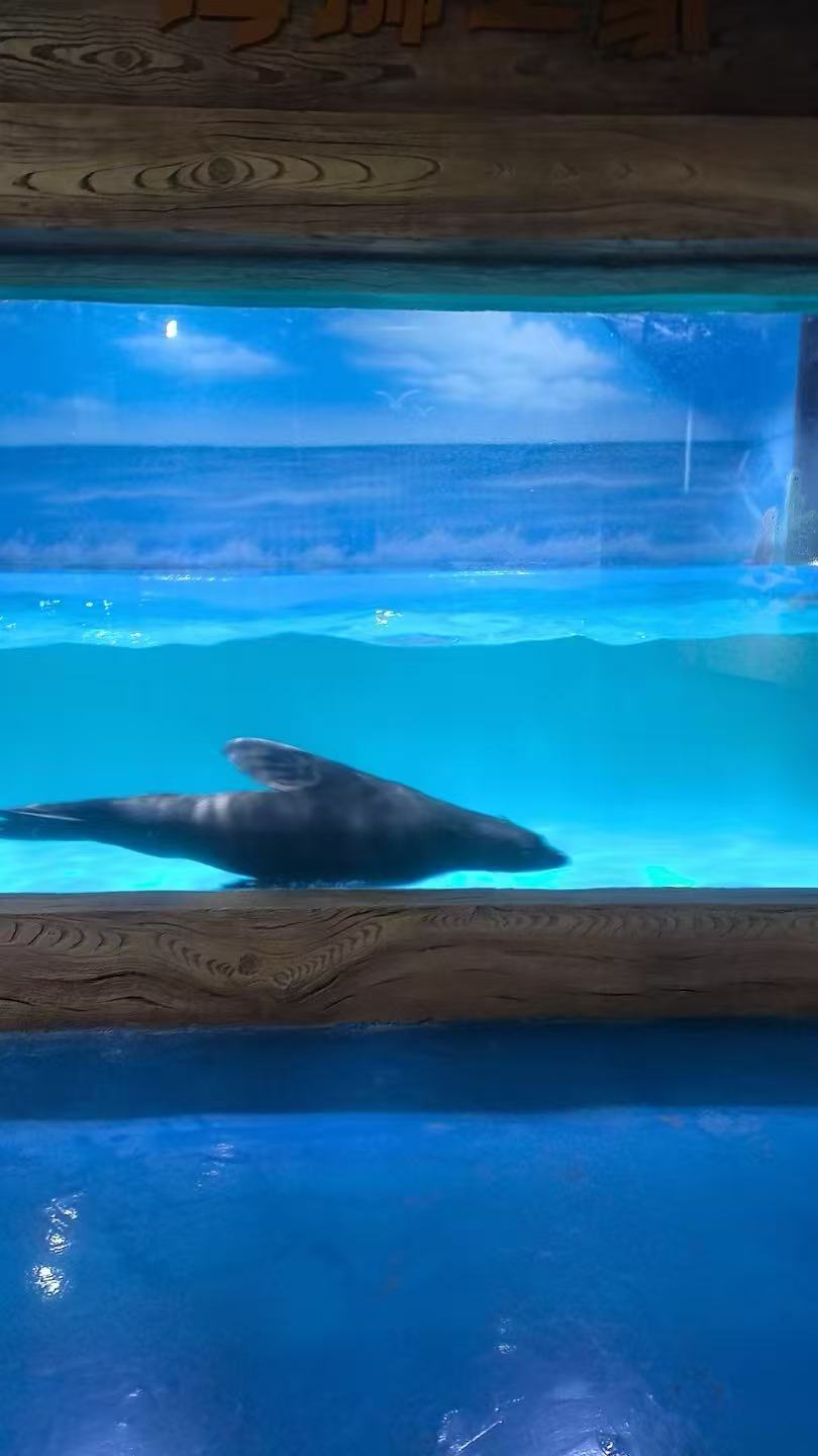 位于钟村街的广州海洋世界 张琳摄