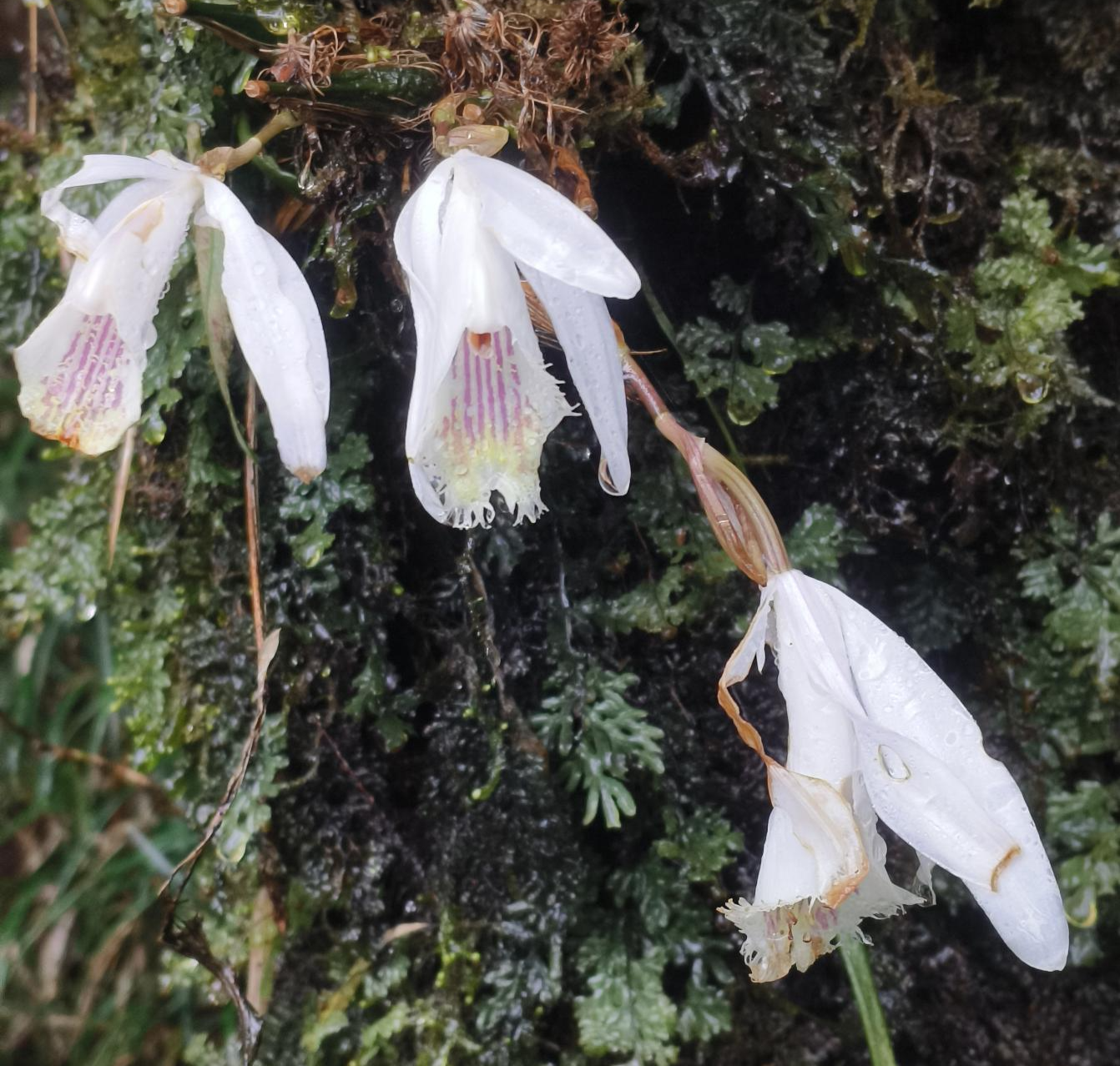 微信图片_20260314195208_44_80