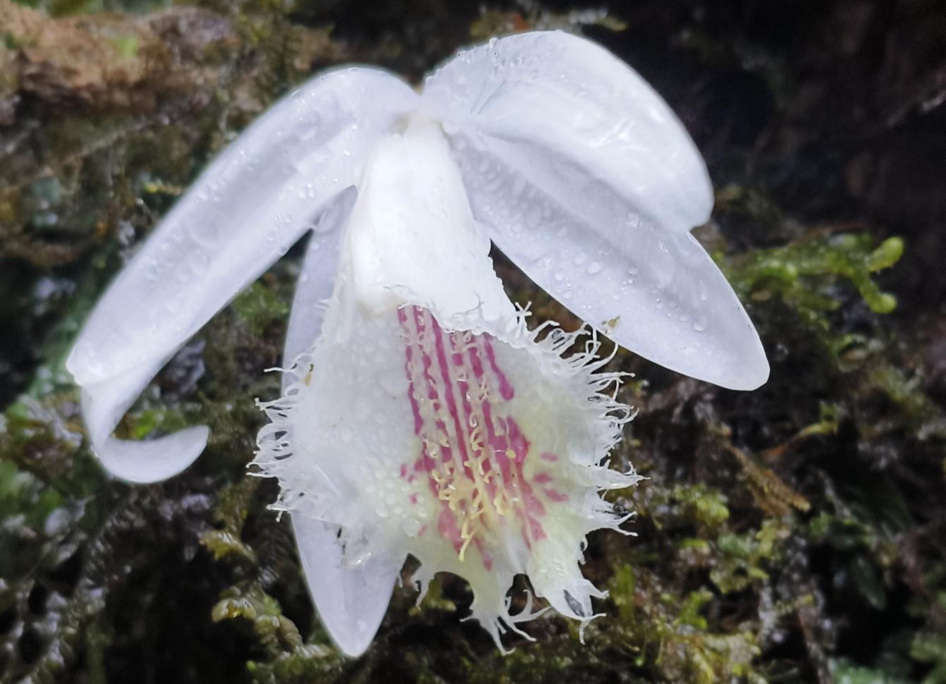 微信图片_20260314195203_40_80