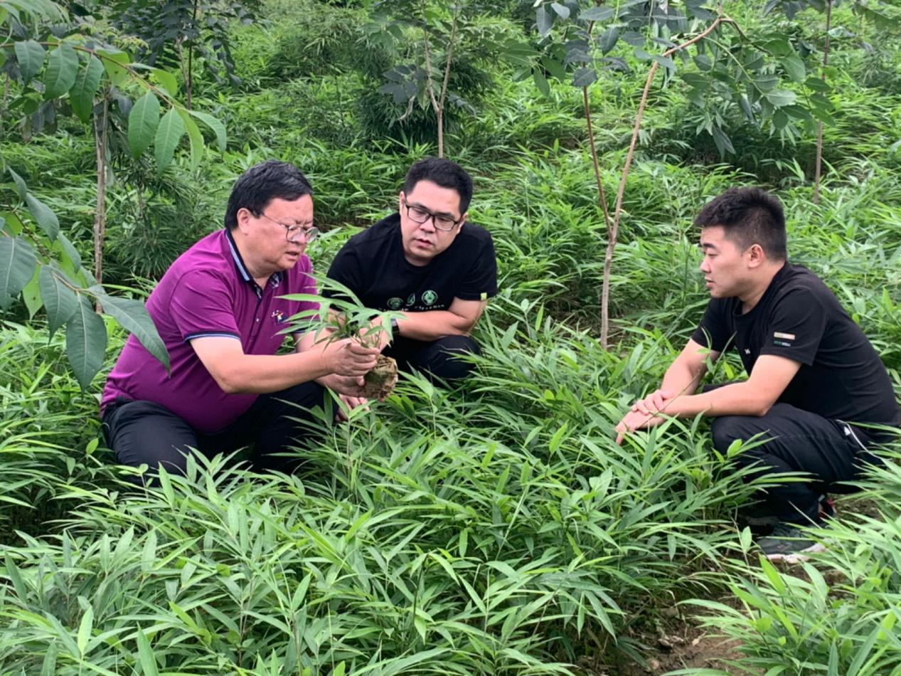 8f78a6043845b4e0cf91321cffb71e8