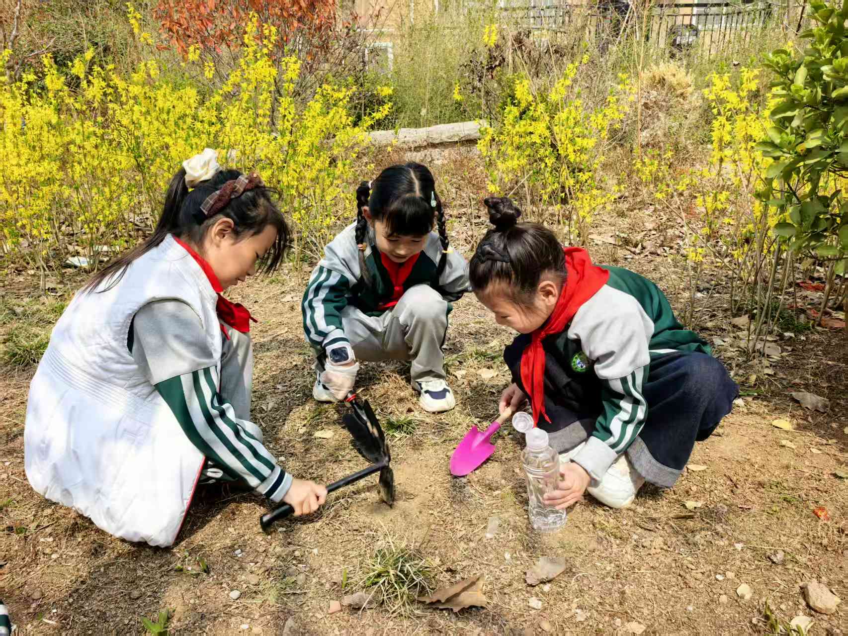 %title插图%num %title插图%num