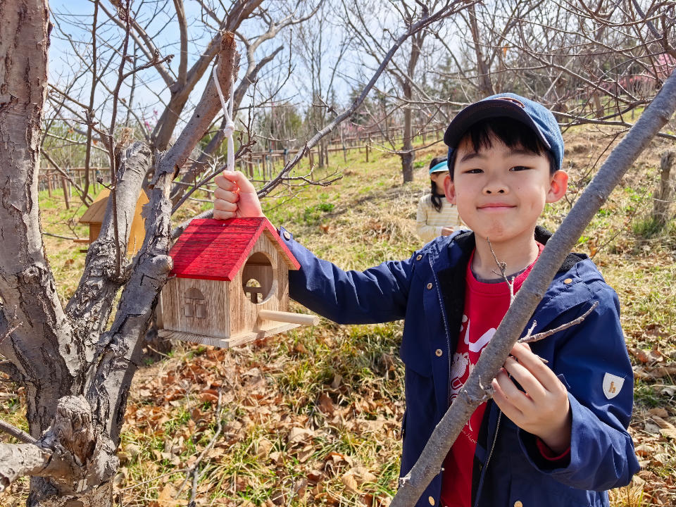 %title插图%num %title插图%num