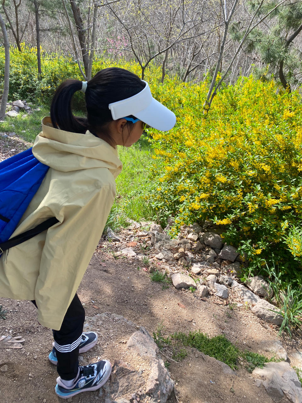 %title插图%num %title插图%num