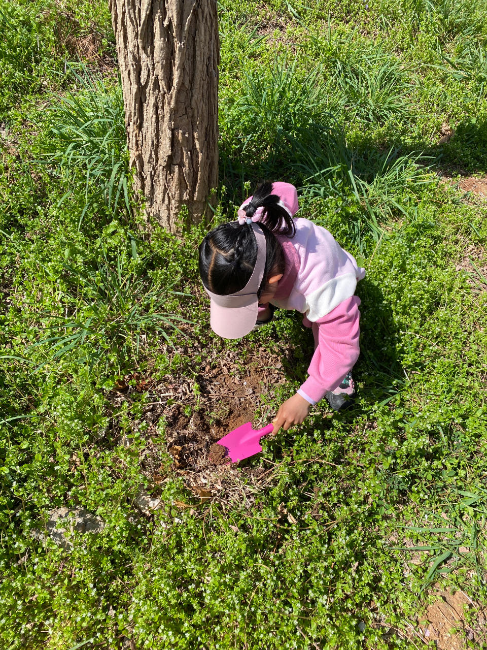 %title插图%num %title插图%num