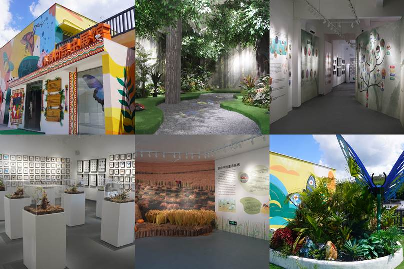 图3 昆虫馆展示图