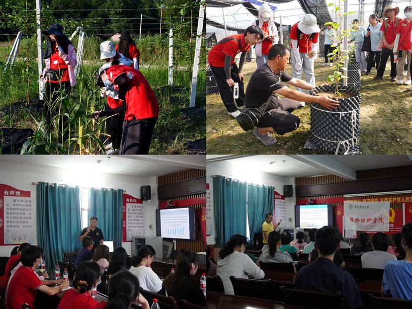 图5 开展病虫害调查及防控和技术培训