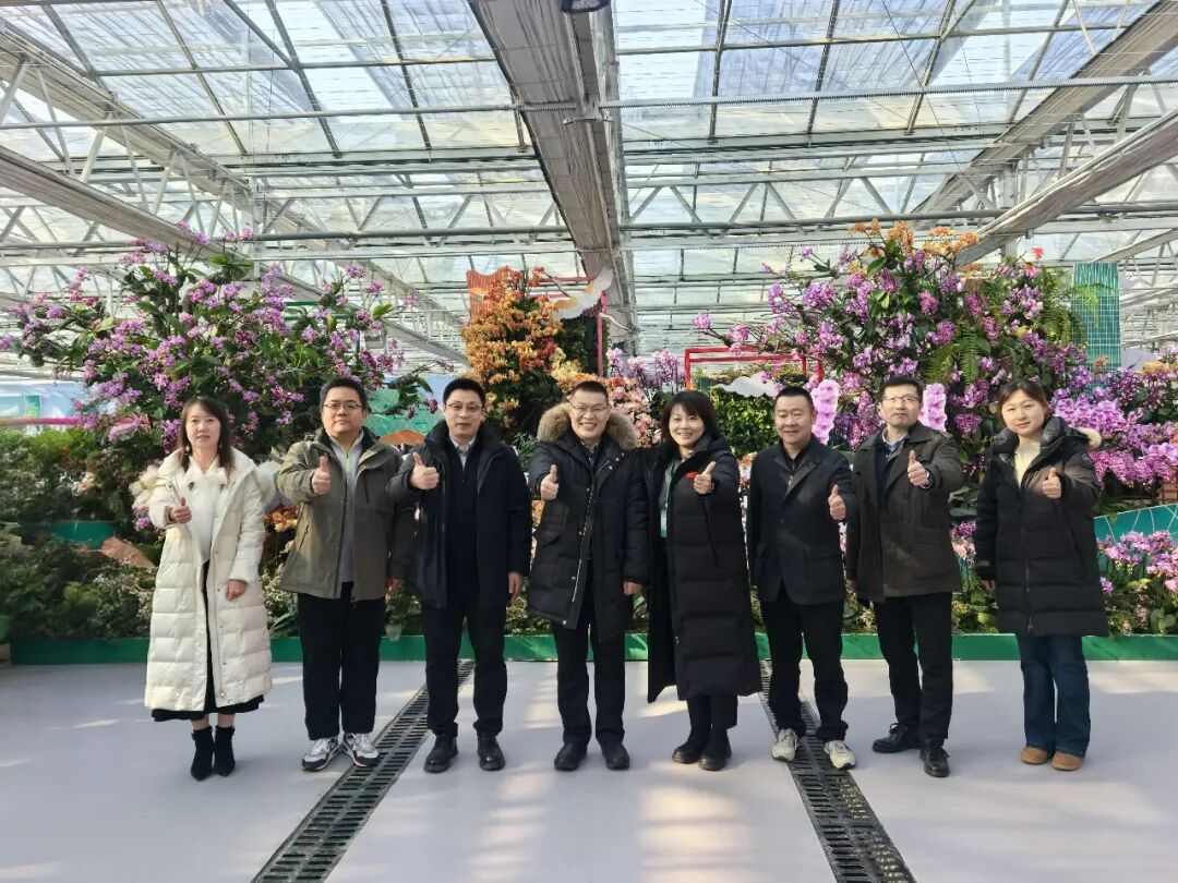 跃升发展年丨【快干之星】改革创新激活存量空间，高效攻坚打造文旅融合新标杆