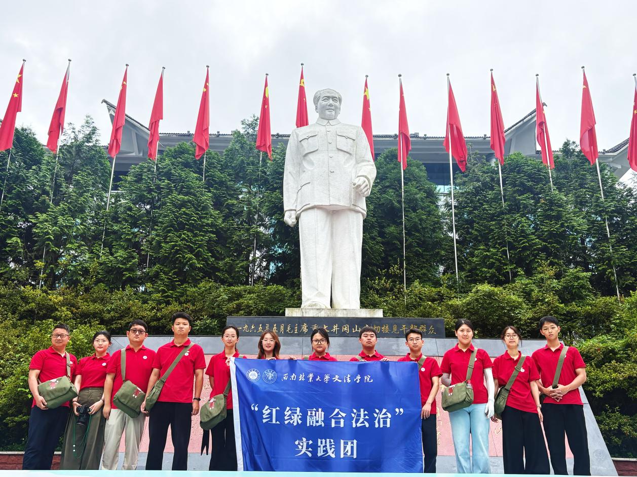 图片3