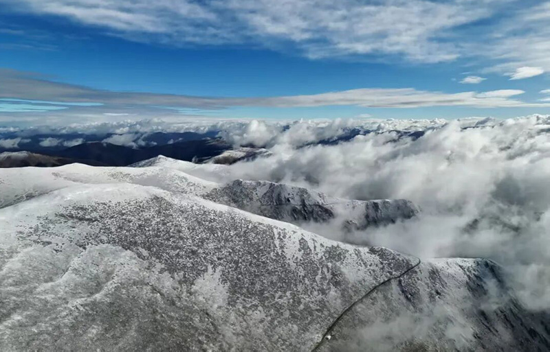 虫草山。知诗吉参摄