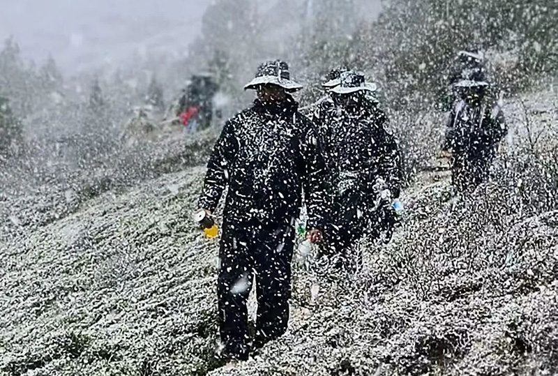 风雪中，值守人员仍在巡逻。干马七主摄
