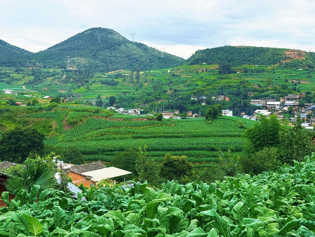 首段风景