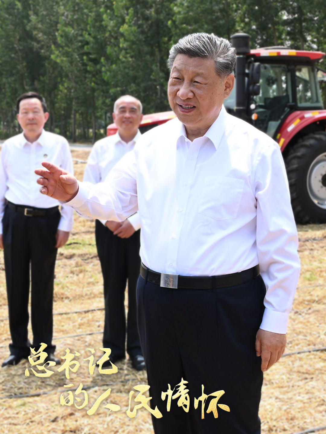 点击查看完整视频