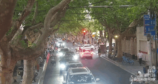 骑行横穿马路出车祸,女子全责反问“我活该?”交警普法