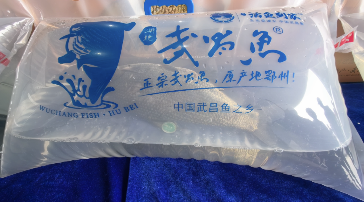 微信图片_20260916193049_116_3