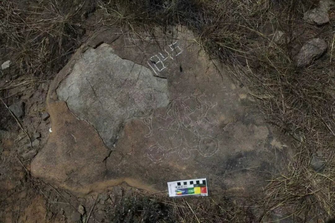 贺兰山，有新发现！