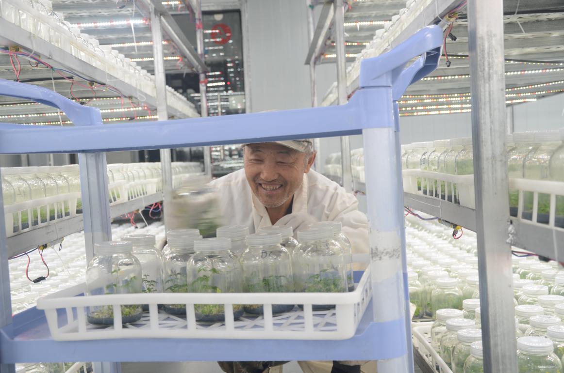 图片说明：云南善源生物科技发展有限公司金线莲生产基地组培室1（资料图）