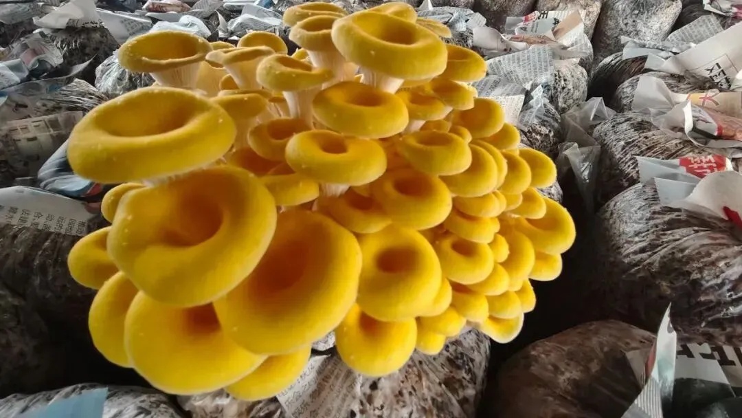 ""