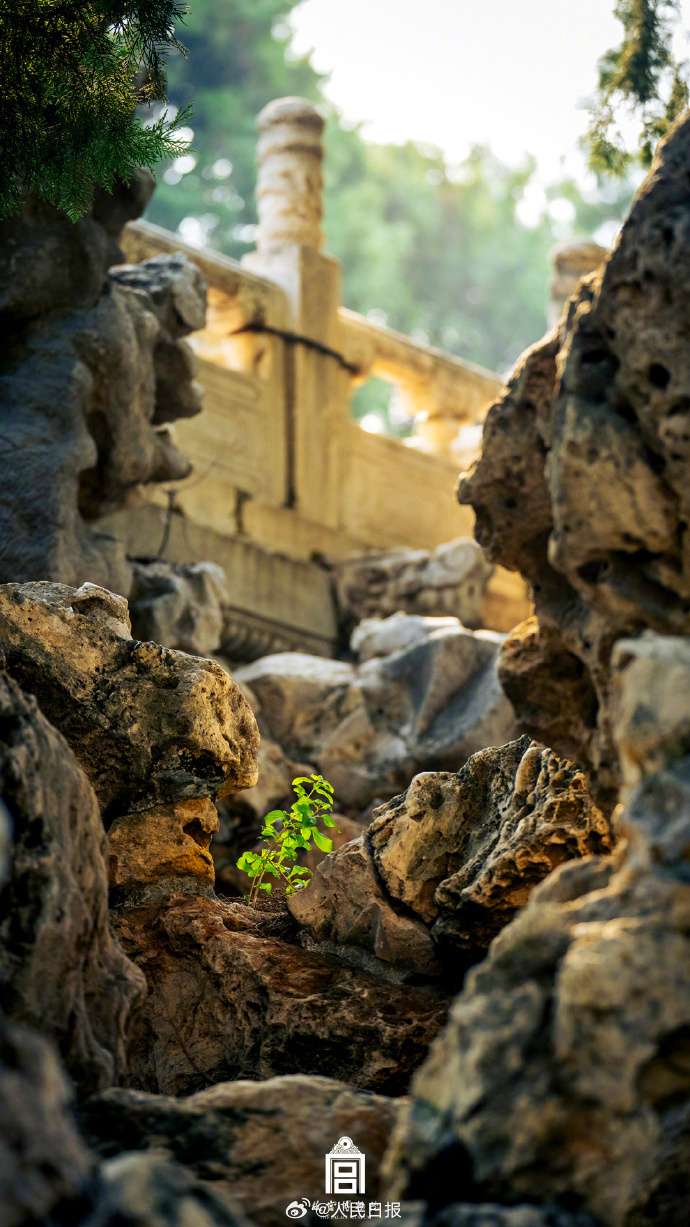 上新！故宫的秋天太出片了